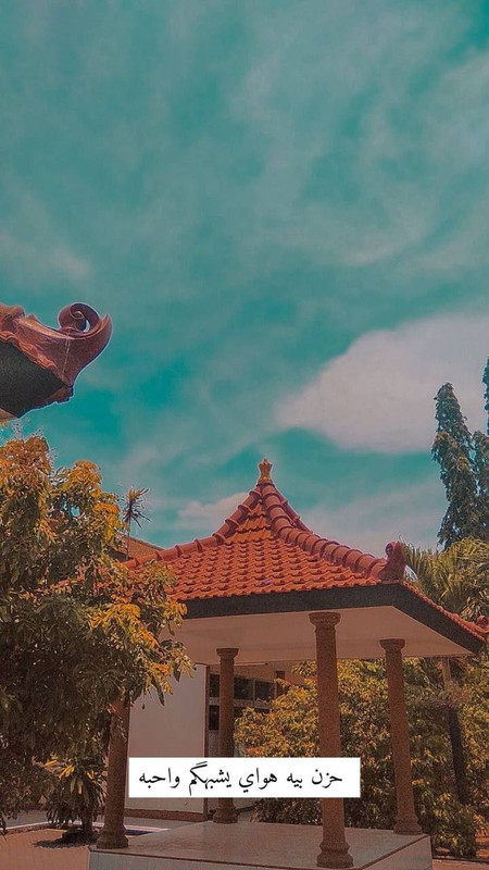 113AE506-3884-4831-A861-45D370410082