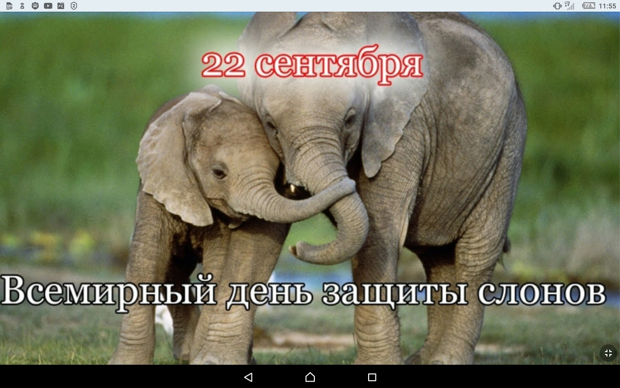 Screenshot_2022-09-22-11-55-46