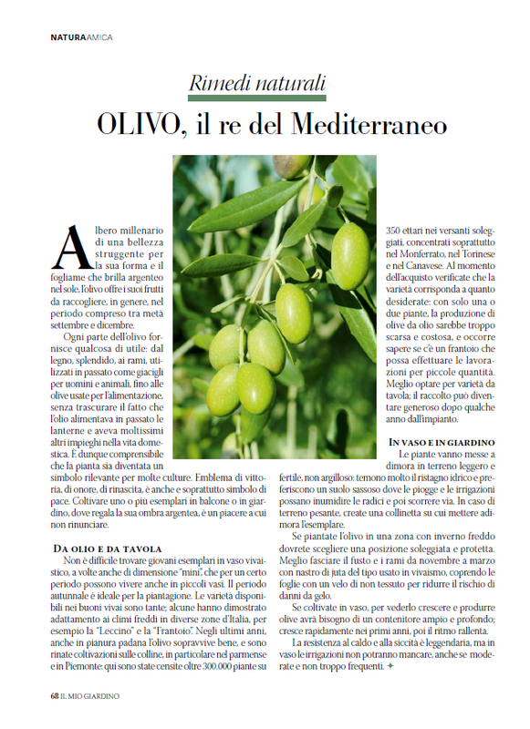 il mio Giar Ott Nov 2026 (7)