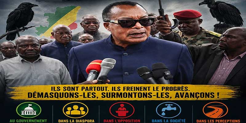 Les "oiseaux de mauvais augure" : une réalité qui traverses toute la société congolaise Les "oiseaux de mauvais augure" : une réalité qui traverses toute la société congolaise
