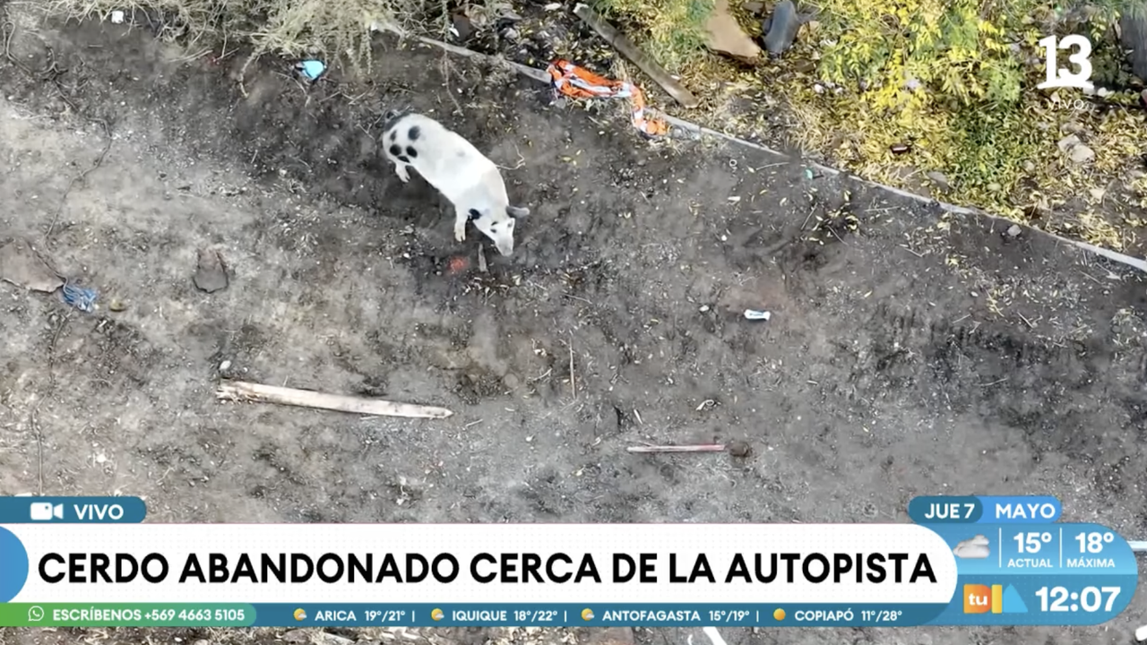 Captura-de-pantalla-2026-05-07-a-la(s)-12-09-23-p-m.png