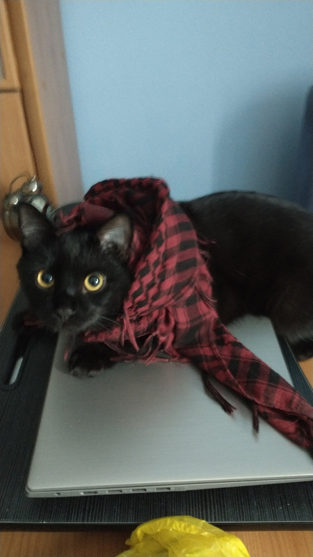 IMG_20250929_075716190