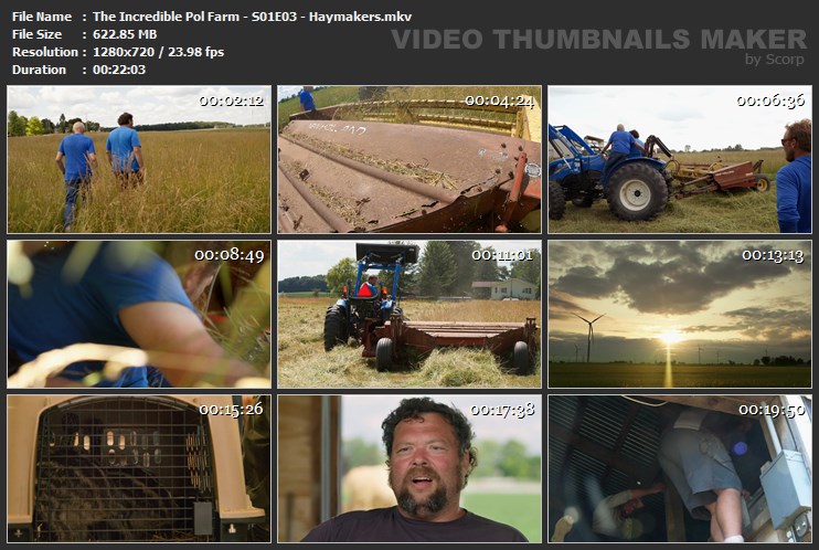 The Incredible Pol Farm - S01E03 - Haymakers.mkv