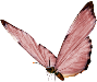 0_1c0107_a923b533_orig