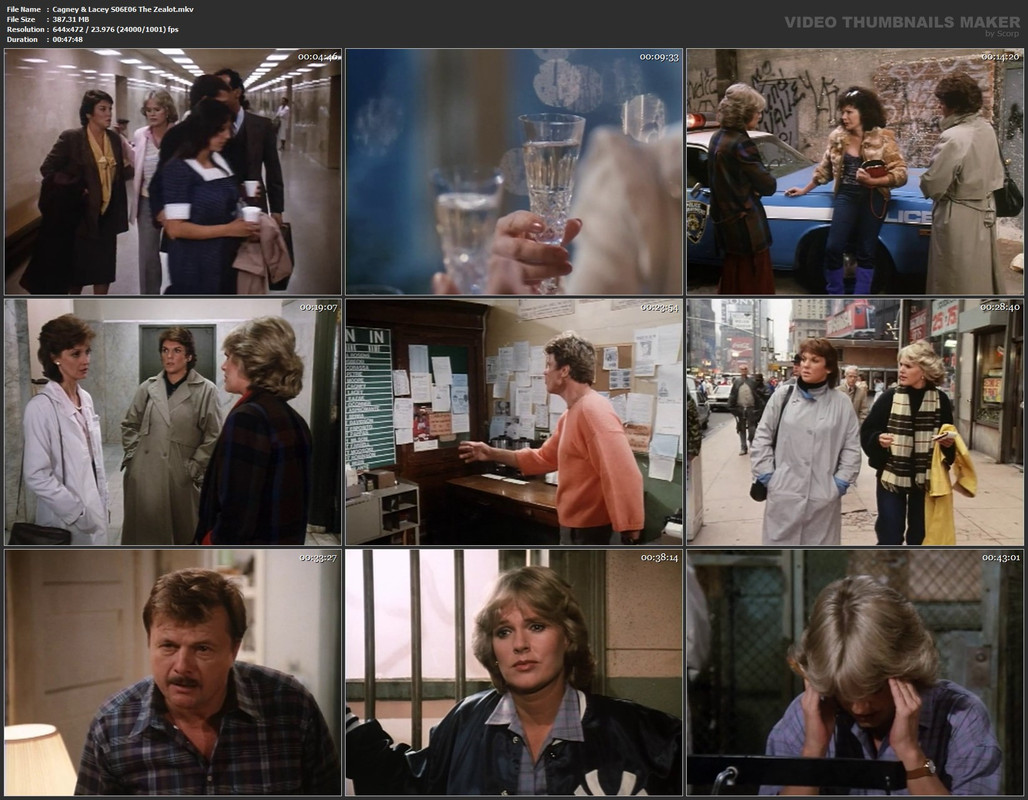 Cagney & Lacey S06E06 The Zealot.mkv