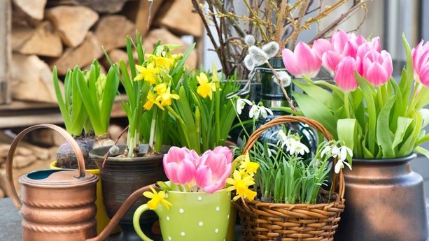 91545437-2478721142234302-205573983943262208-n