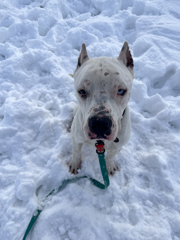 F1B57F58-22B6-4DE9-9135-C4A525F64549