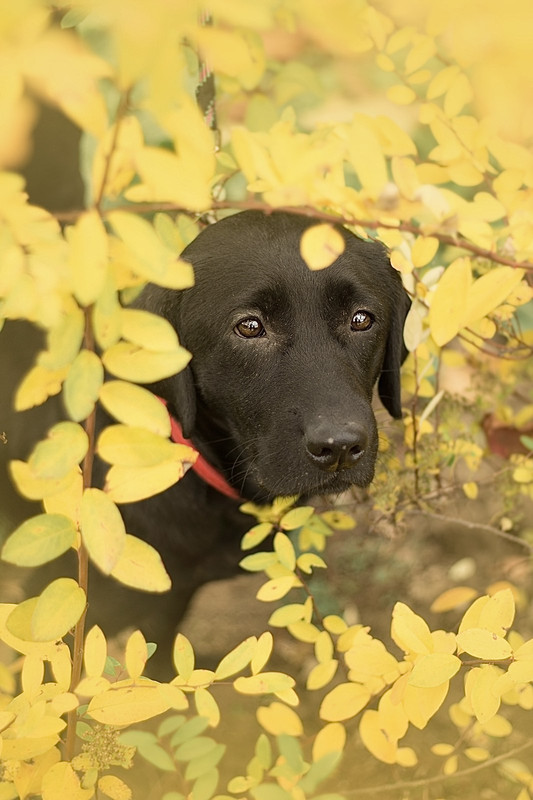 IMG-a2f2791928f6c680129e85ad49ed6fce-V