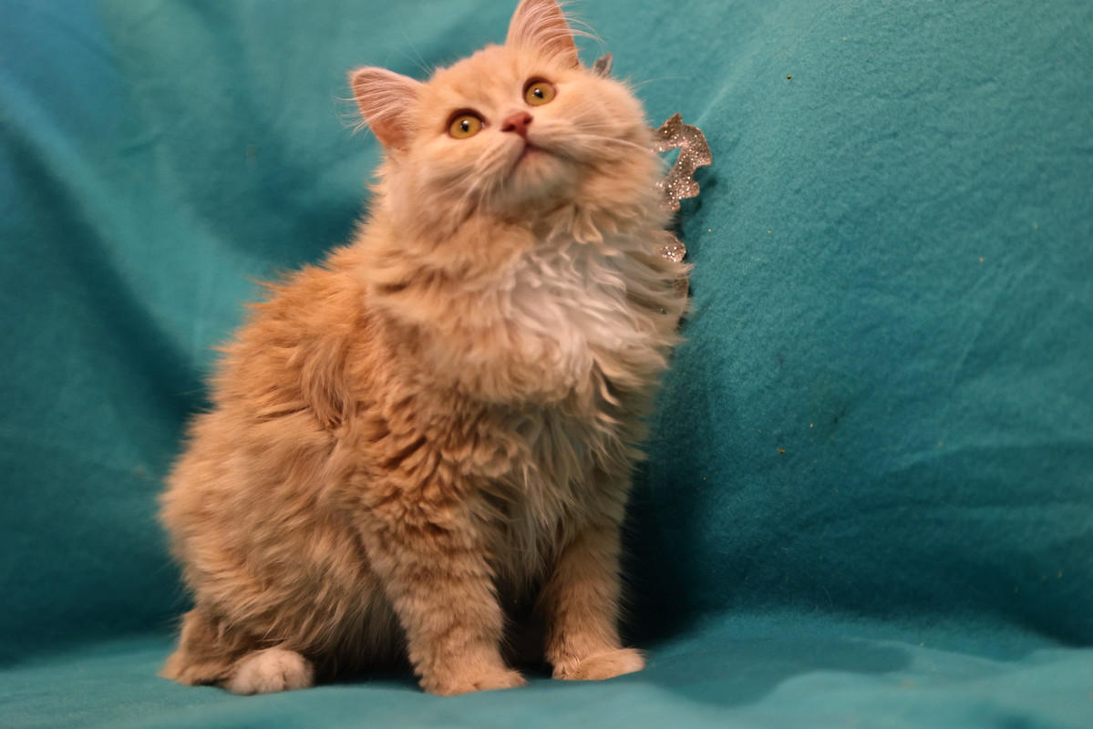 8DDAD561-F2CE-408C-BF64-FA504745D1BF