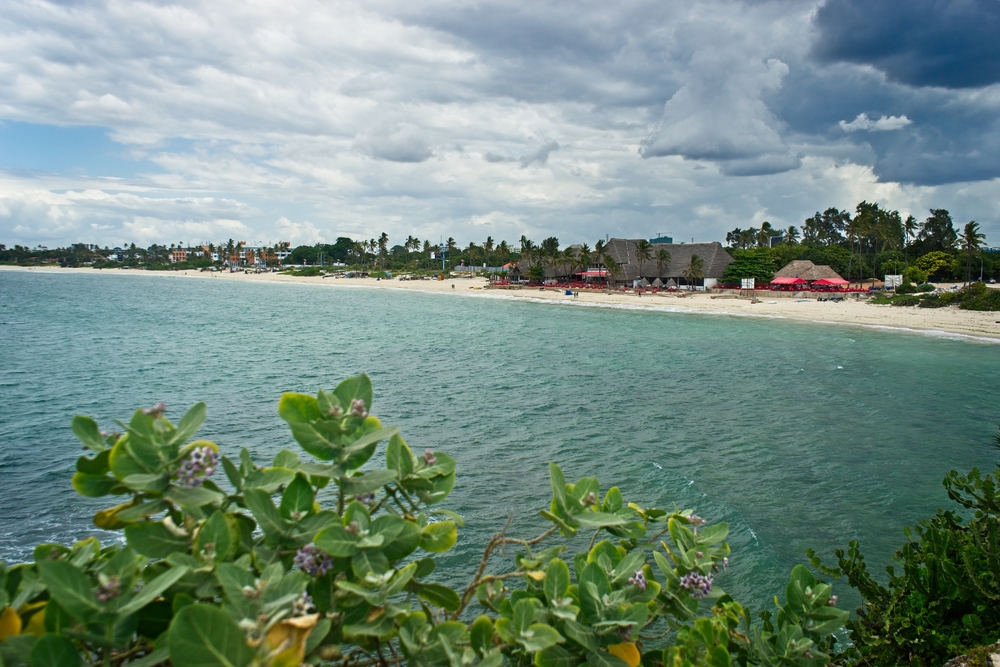 Coco Beach, North Goa 2020 (Photos & Reviews)