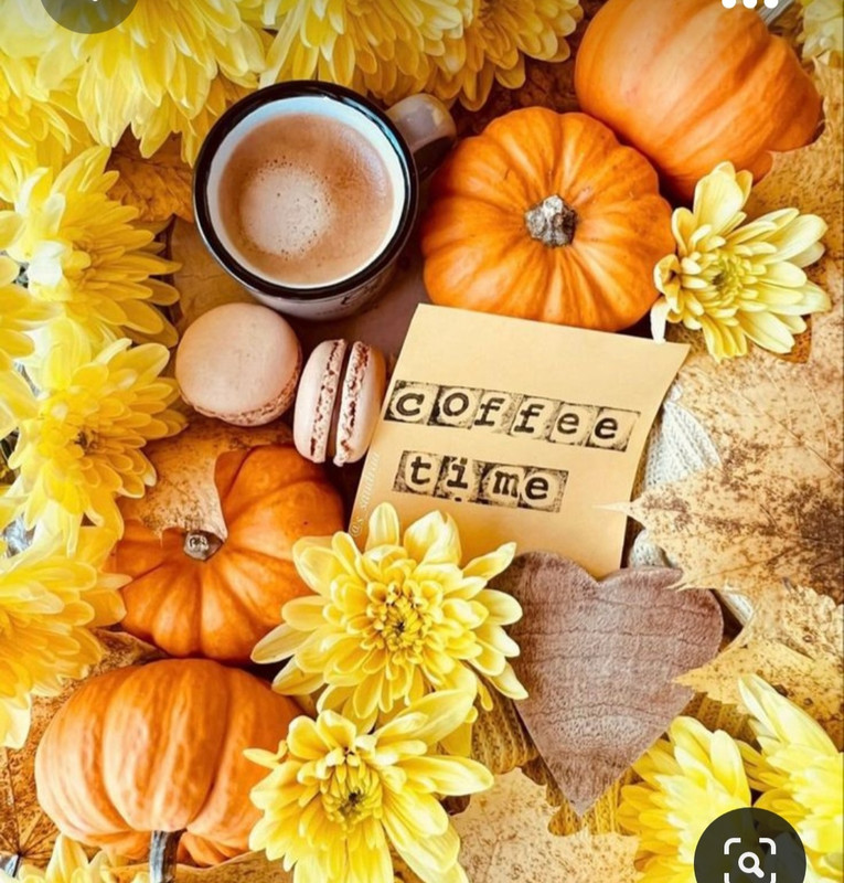 Screenshot_20230923_173039_Pinterest