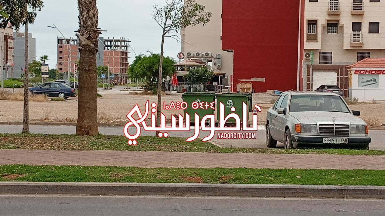 707774644-2019707915423083-2672970443539445655-n