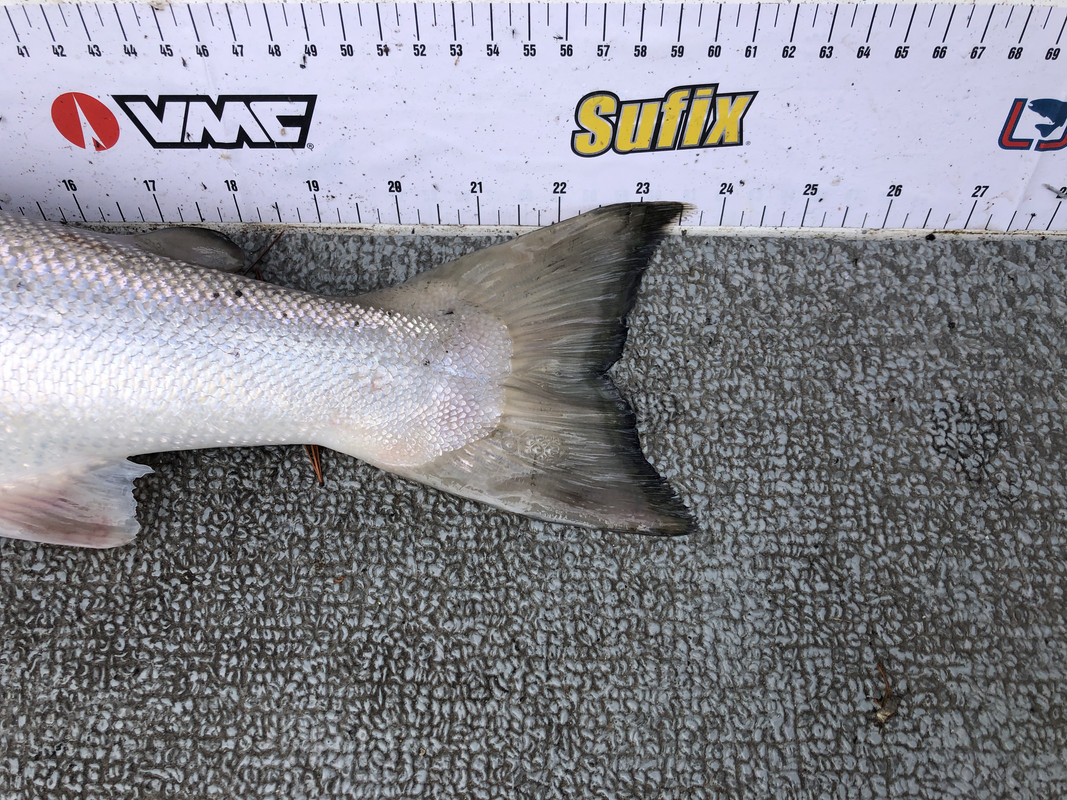 CCF21AE7-C4F4-41C5-A263-D8874C20C4BA