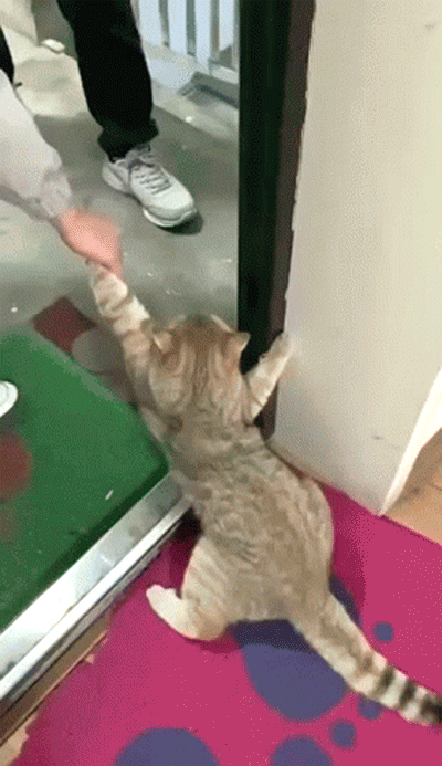 35.gif