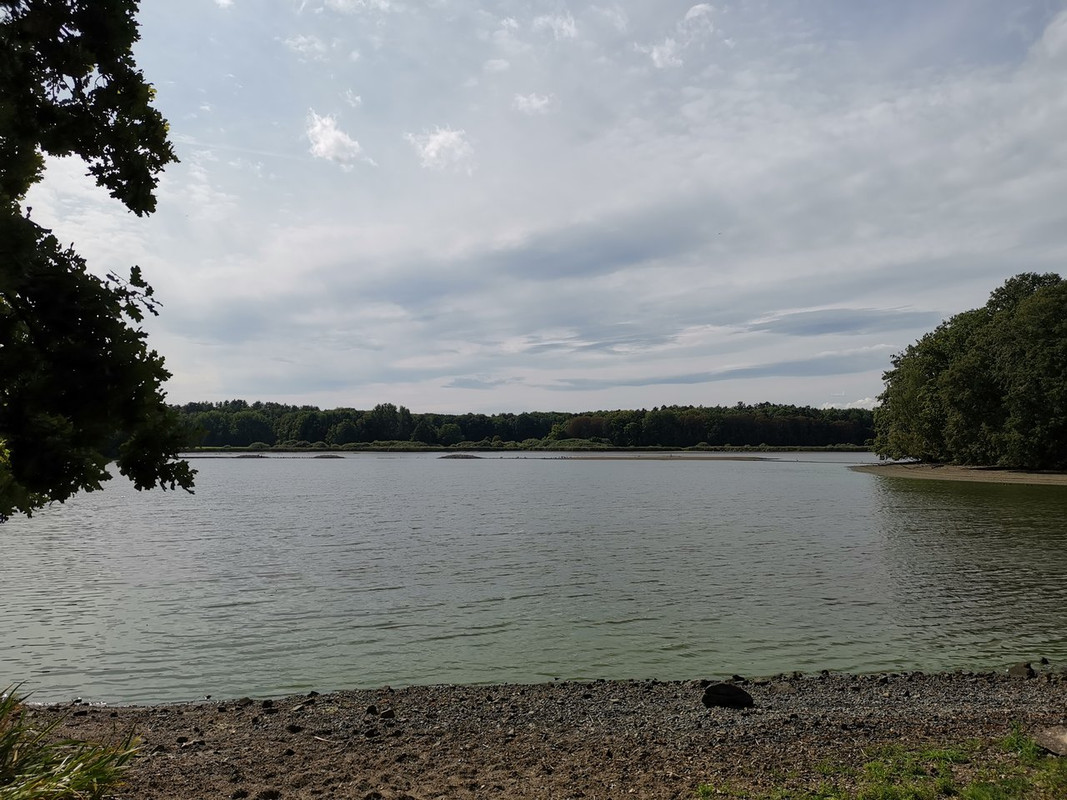 IMG-20250913-130616.jpg