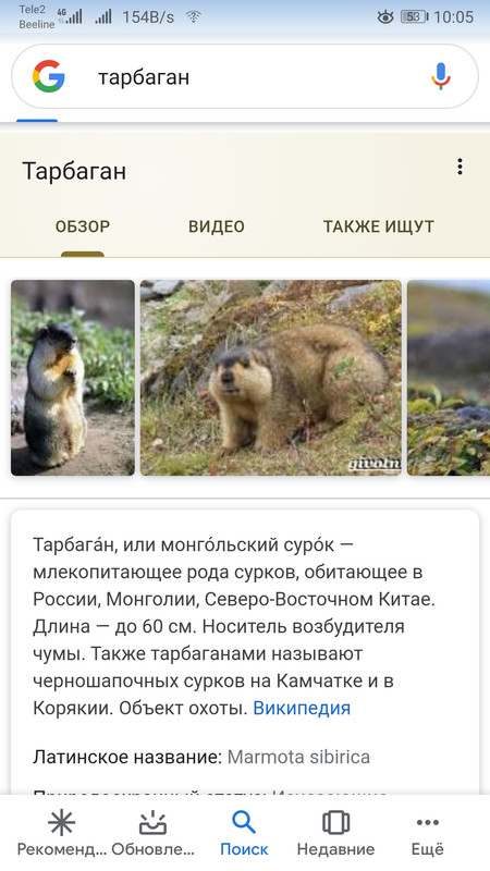 Screenshot_20191120_100505_com.google.android.googlequicksearchb