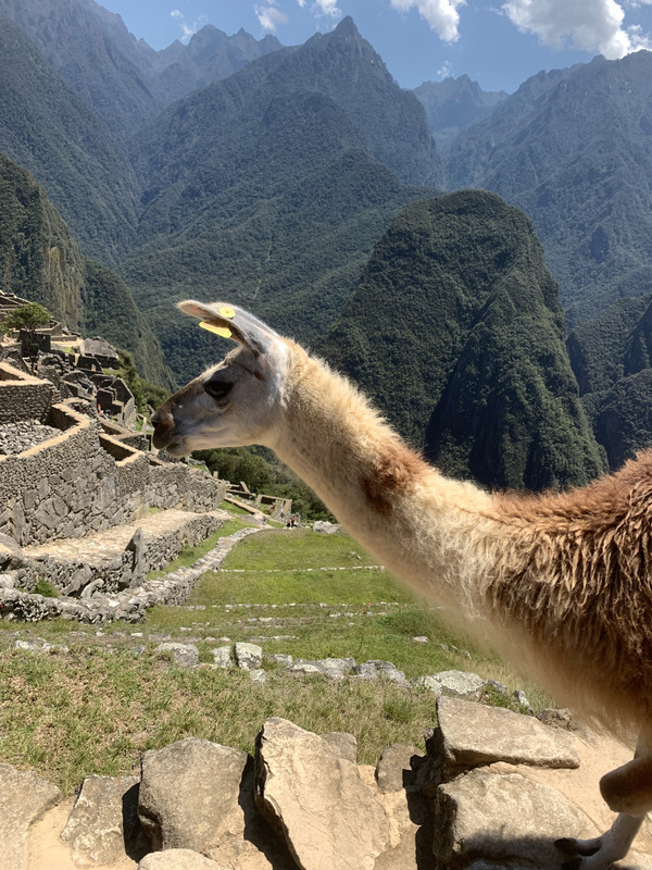 3AB9EED6-3387-44ED-A5C2-AC6B667BF3F1