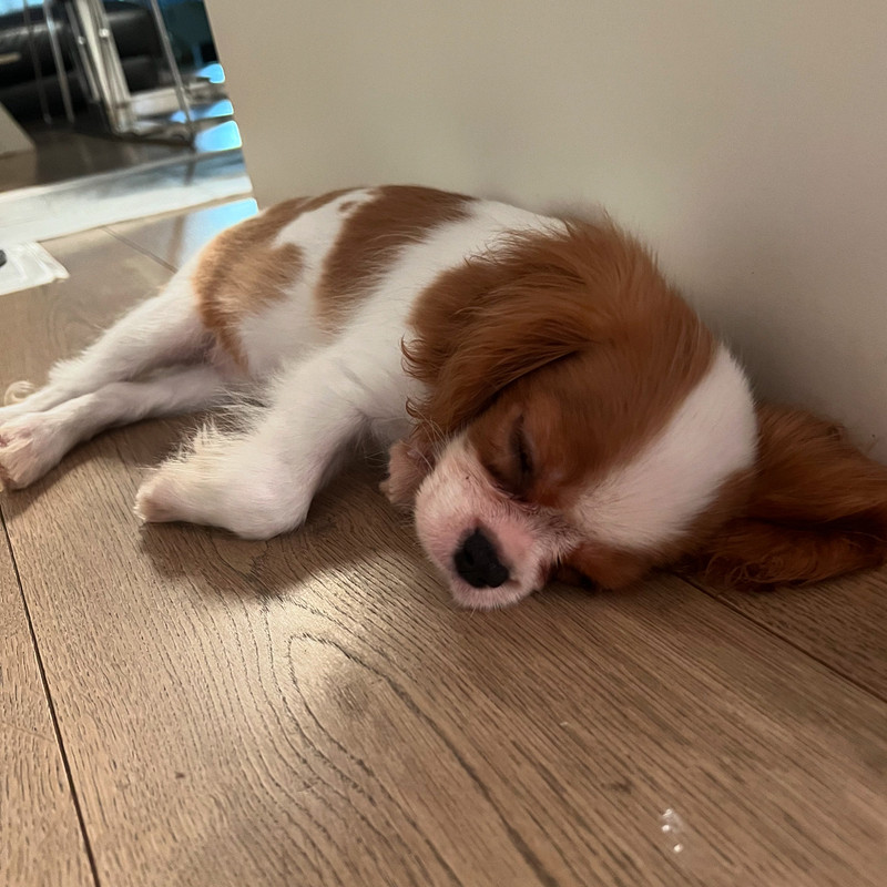 0444AEDB-BD0D-4DC4-AE89-7B0B28279F37