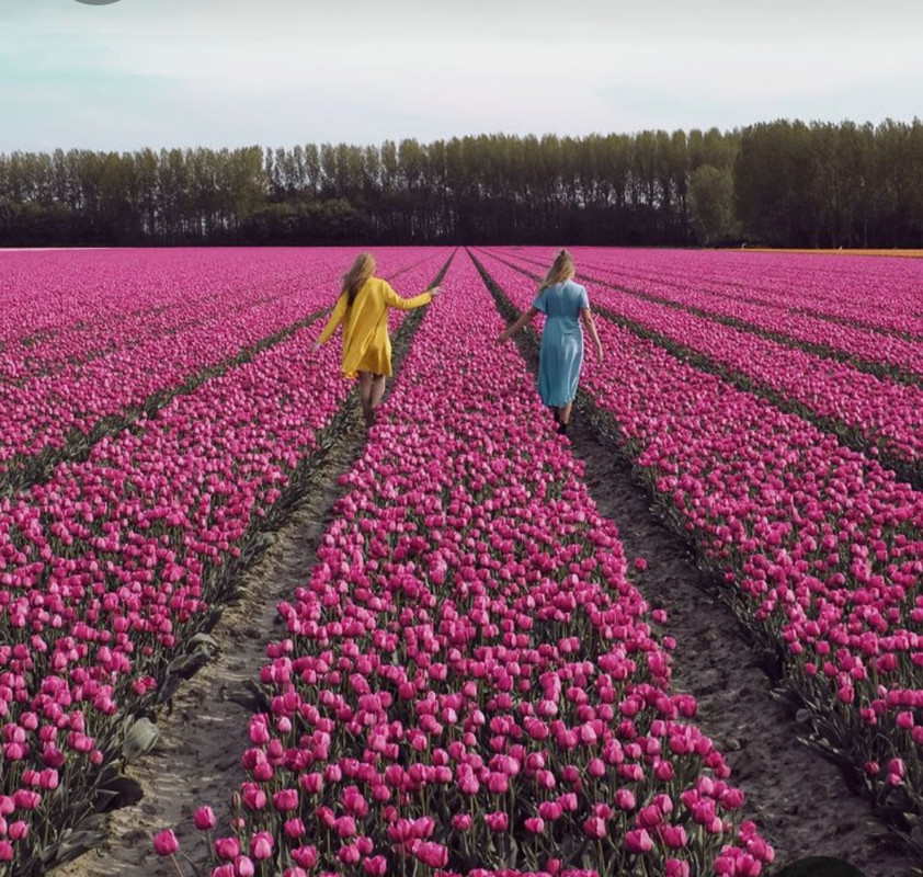 Screenshot_20230721_222323_Pinterest