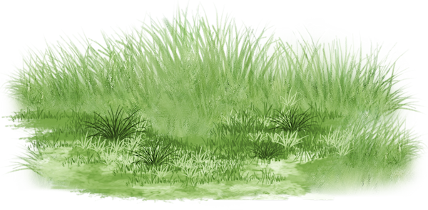 TADD_elements_LastDanceInParis (70)