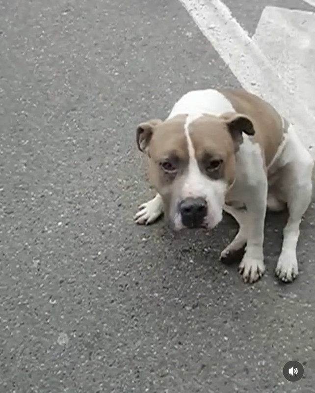 FFAD324C-E4AD-41A5-B8BA-E6A3E81ED1A1