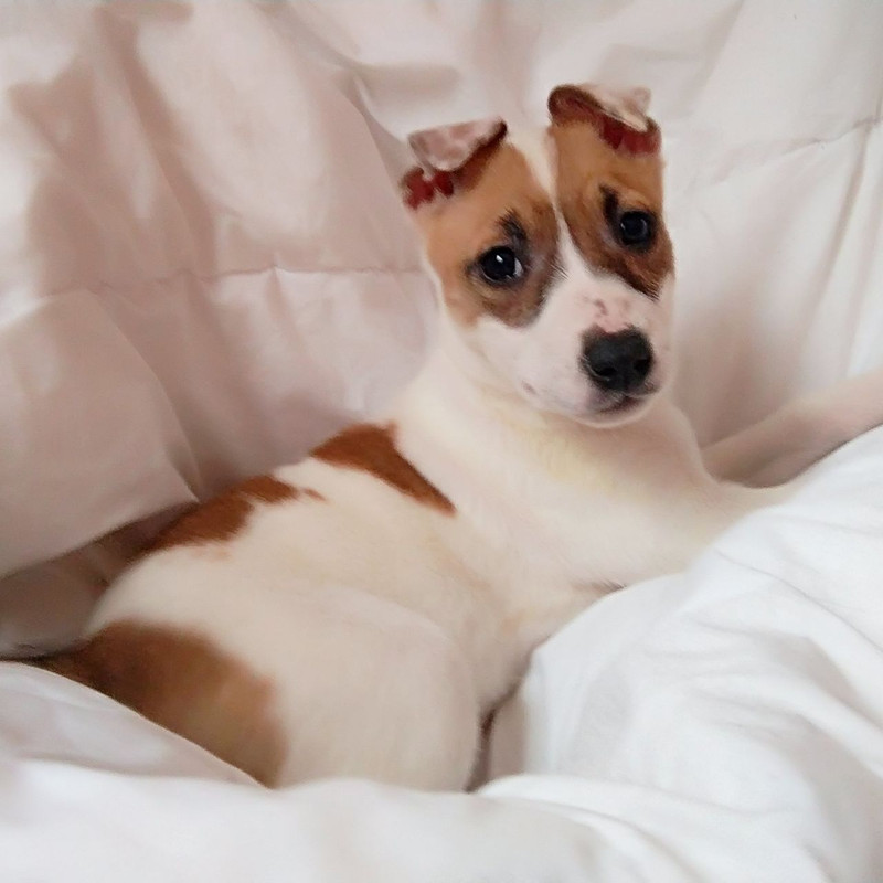 8679BE91-65F7-4D4D-900F-1EB20EC51780