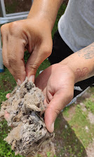 Dryer Vent Cleaning