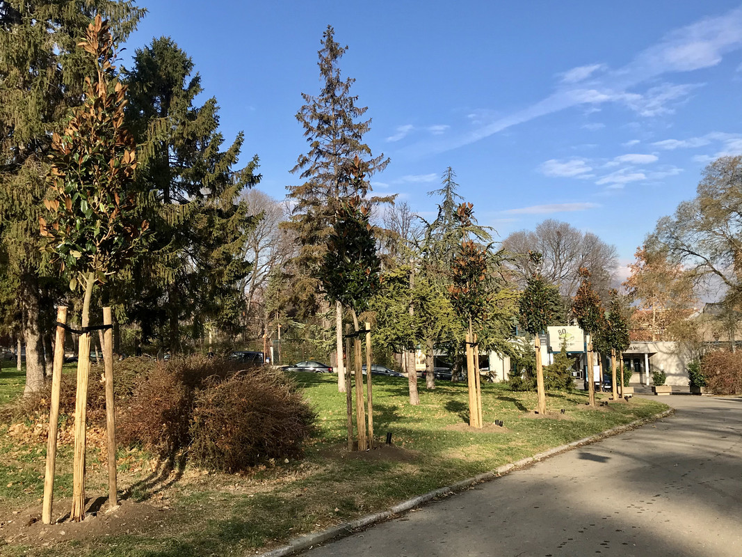 EEC9E3ED-84E7-41DB-B92F-CC894D5C7E72