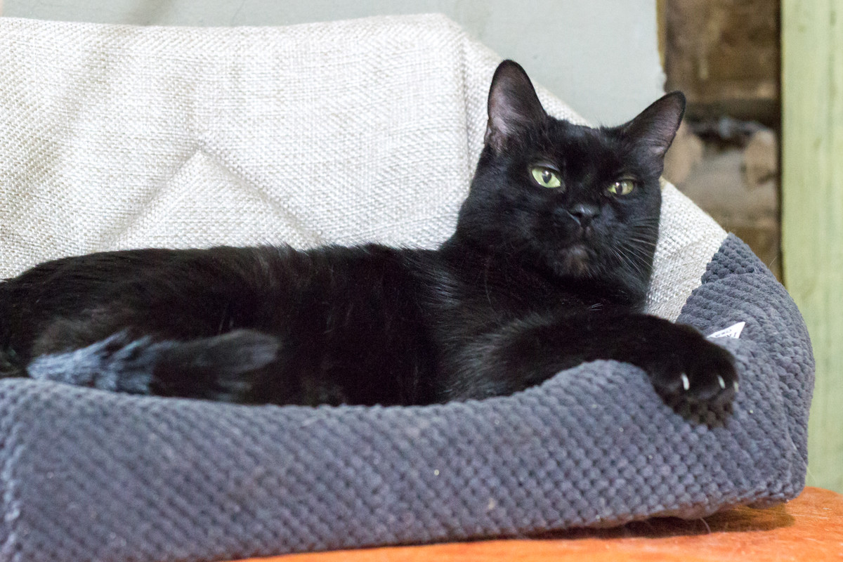 BE38C54C-0A32-4037-88AB-1BA094A63BB1