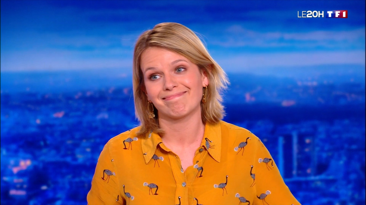 2021-05-25_20_00_TF1_Le-20h.mp4_snapshot_00.43.43.336