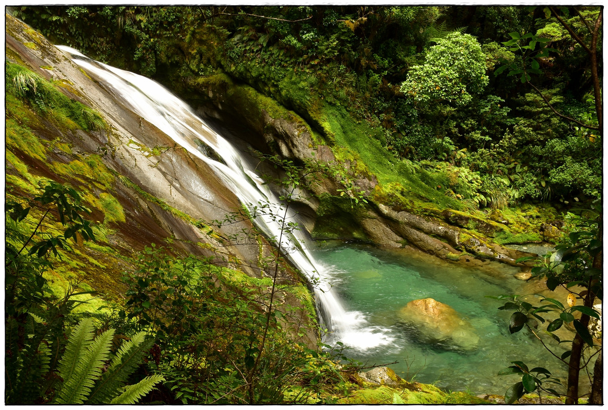 Fiordland NP: Milford Track (enero 2023) - Escapadas y rutas por la Nueva Zelanda menos conocida (51)