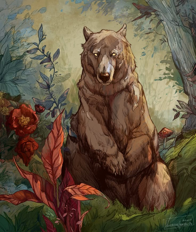 Bear Illustration Valentina