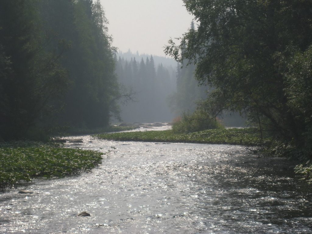 IMG_3670_новый размер