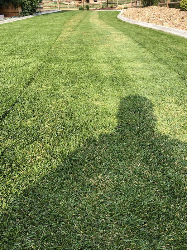 B74527D5-94EE-4F6F-ABF3-6BE7F6178606