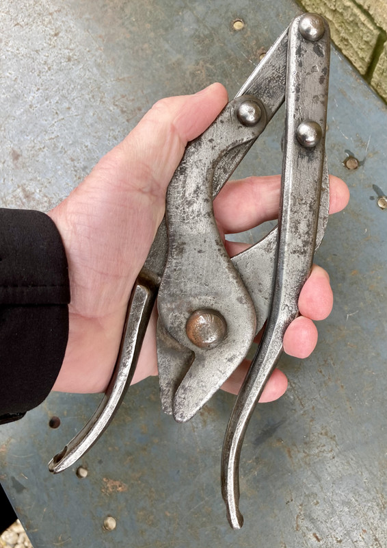 0175AA3E-FD4E-4762-9D58-3E5365A4100E