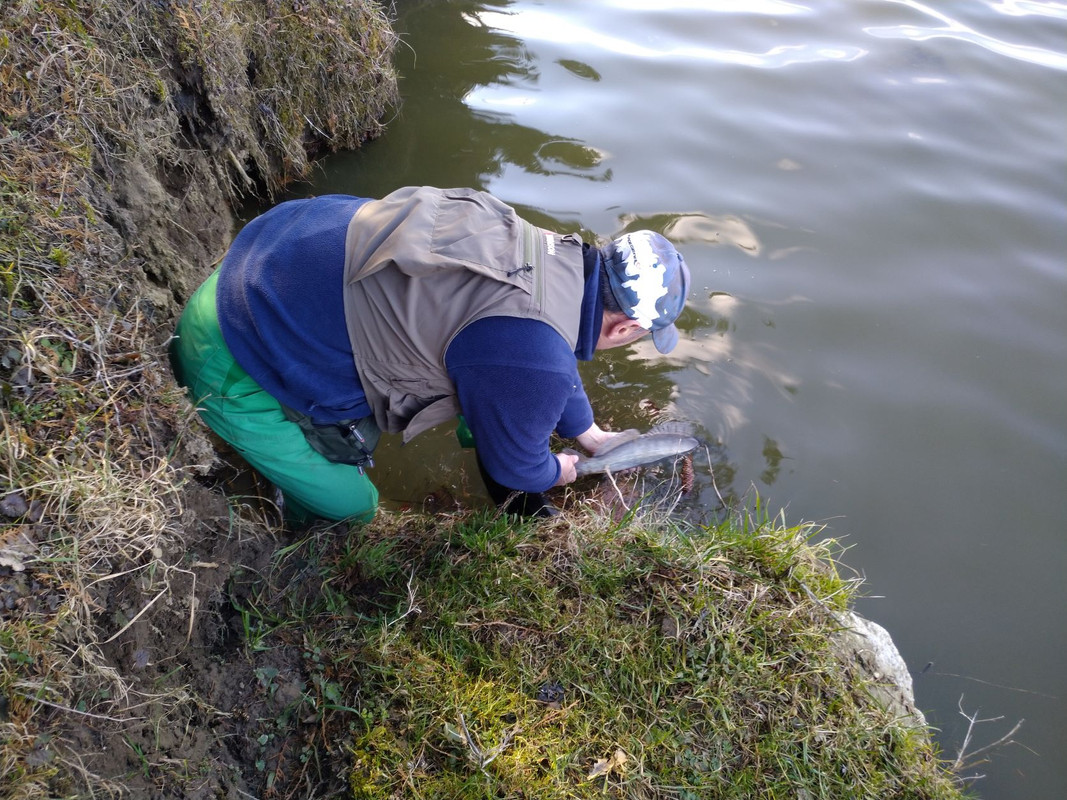 IMG_20220218_140248-1