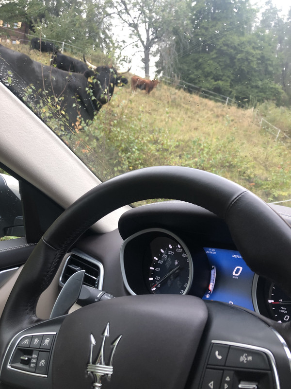 C0DE8714-40B5-40B5-A754-85184881299D