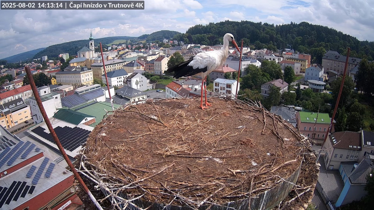 Živě z čapího hnízda na pivovarském komíně v Trutnově 9-16-37 screenshot