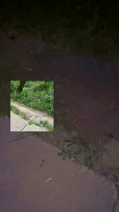 copy-35964988-DCF6-4-F0-A-BFD8-2667-FD4578-FB.gif