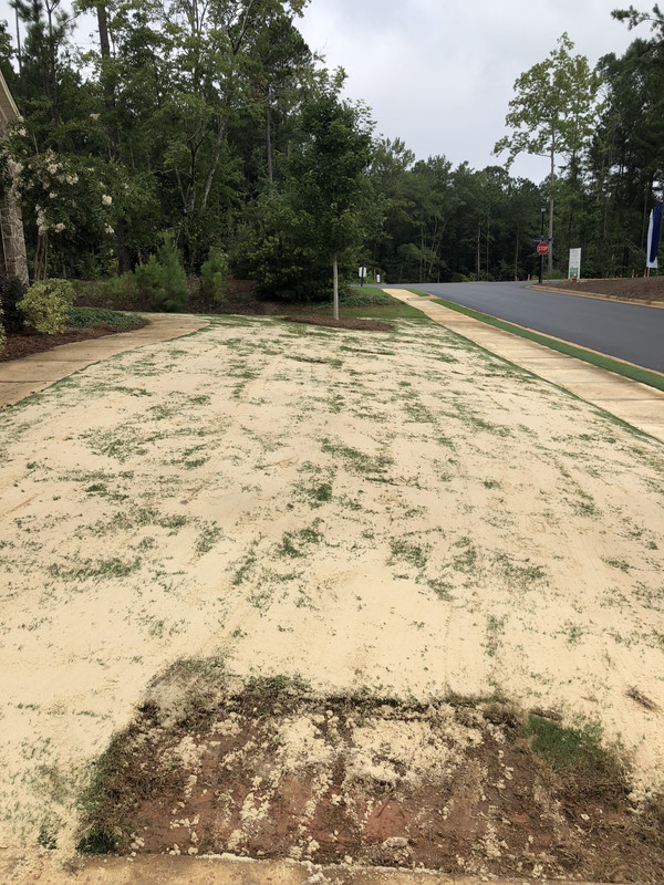 1161F55A-9267-4182-A0DC-6E7A2F10AC5B