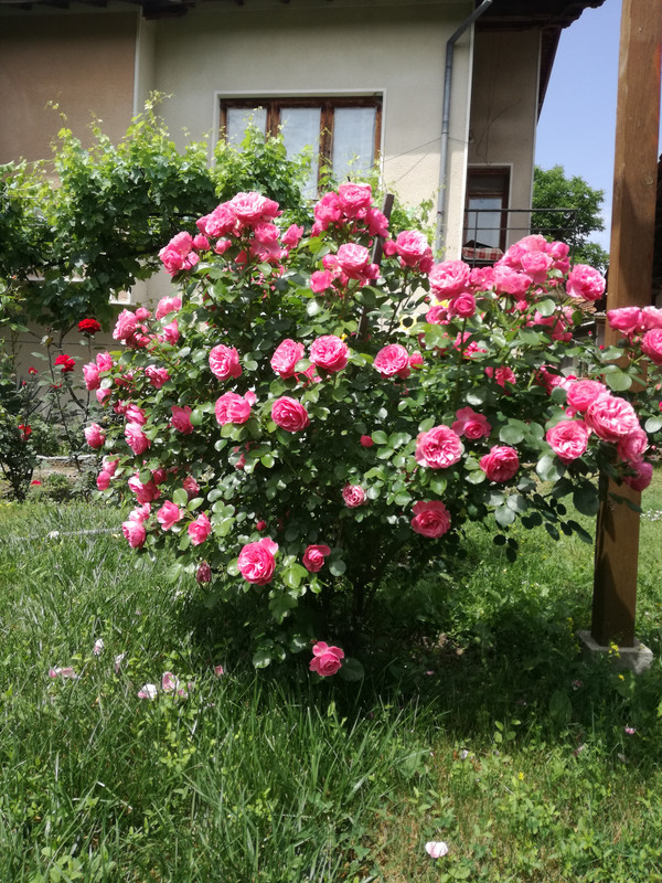 IMG_20220529_115736