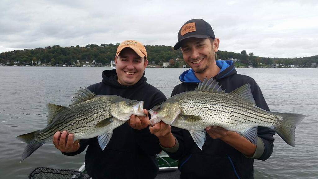 D022C2A1-9FFE-43AD-9721-D0DCEE31CACD