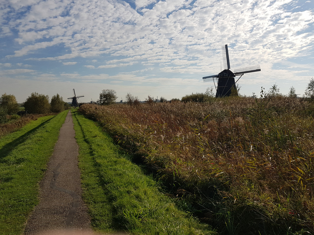 Pieter, De Hoge Molen 01 Nieuw-Lekkerland (Kinderdijk) 16-10-201