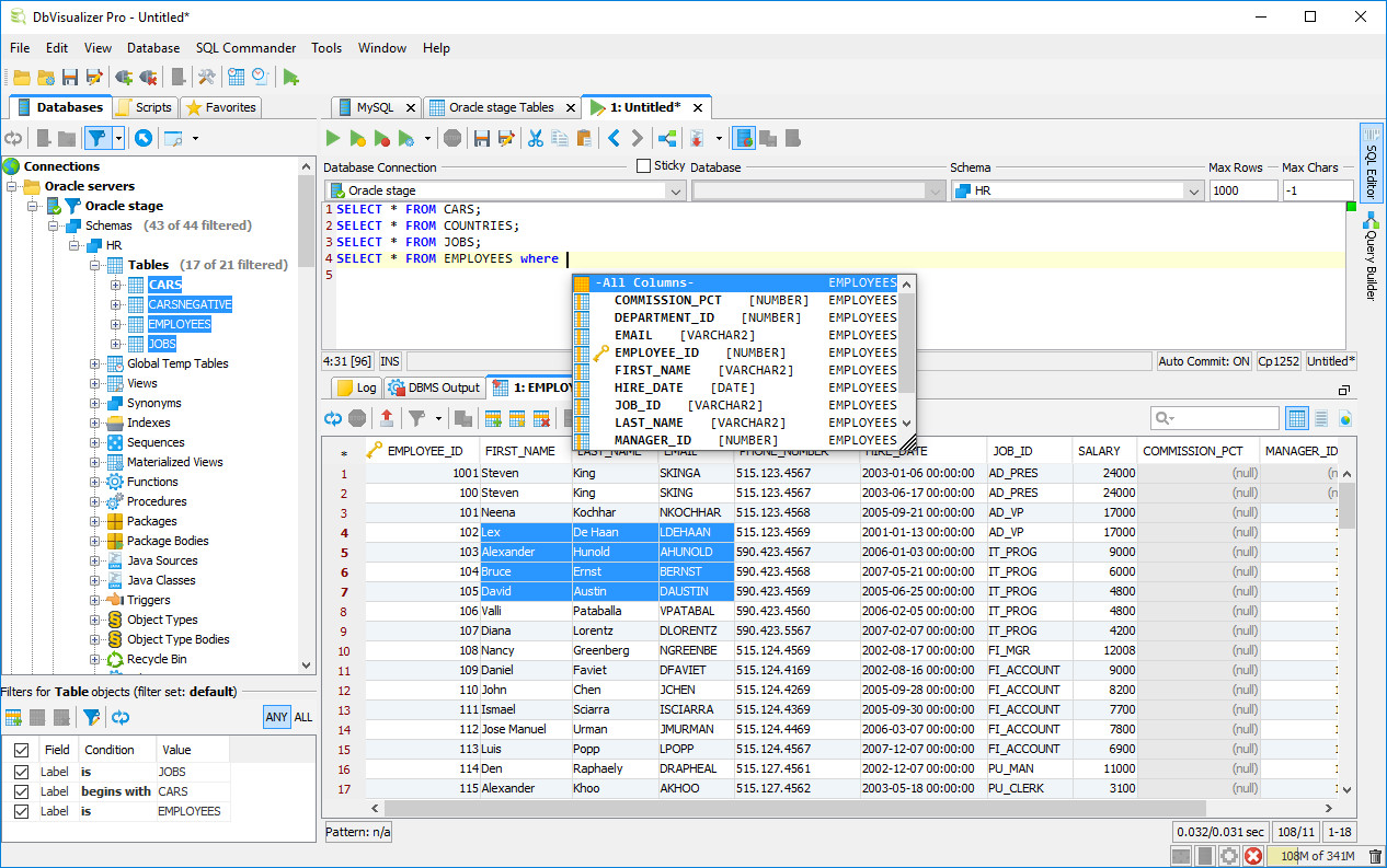 DbVisualizer Pro 13.0.4