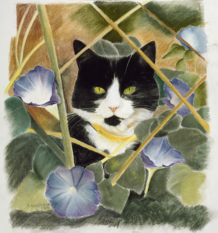 05
