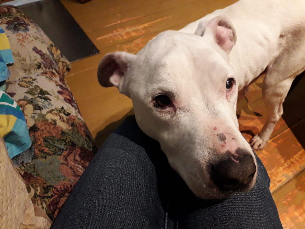 51124257-9F86-4AAD-88A8-C823D9036D8D