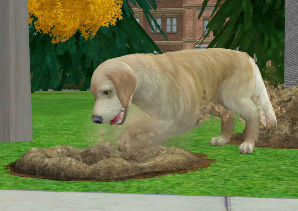 Sims2-EP9-RPC-2022-02-06-14-20-28-87