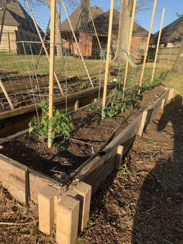 F19D9800-83F7-496E-87B1-C3100CF01683