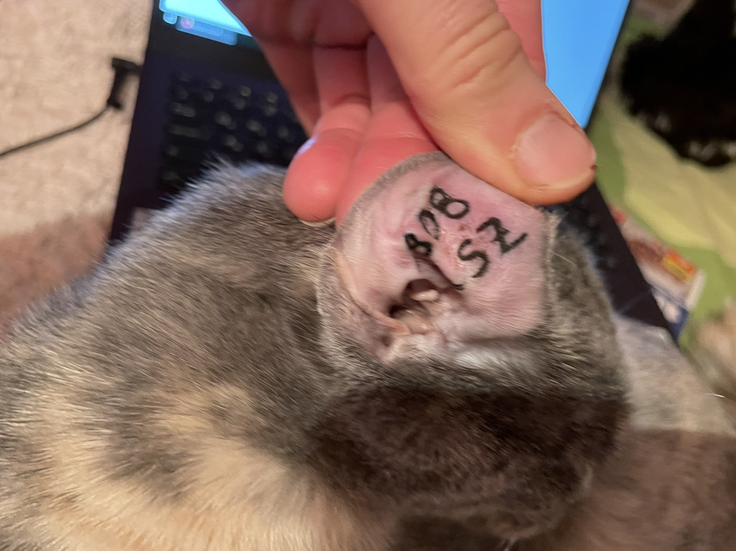 F57580FA-5ED2-46D6-96FC-7FF9B69EBCED