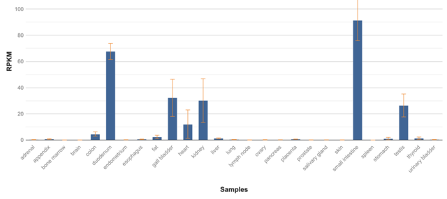 Screen-Shot-2022-03-29-at-13-25-44